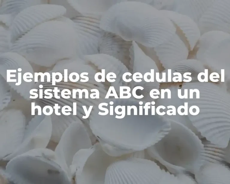 Ejemplos de cedulas del sistema ABC en un hotel y Significado