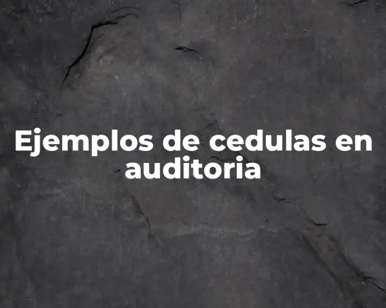 Ejemplos de cedulas en auditoria