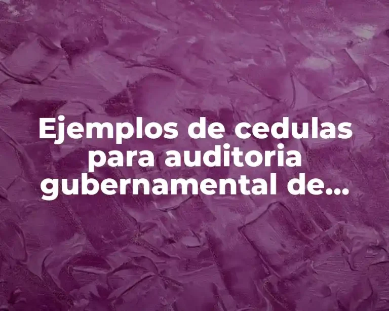 Ejemplos de cedulas para auditoria gubernamental de inicio
