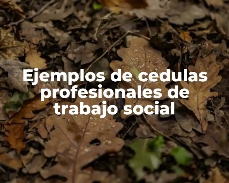 Ejemplos de cedulas profesionales de trabajo social
