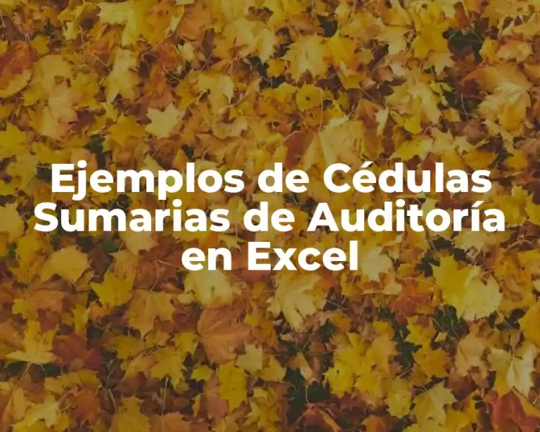 Ejemplos de Cédulas Sumarias de Auditoría en Excel