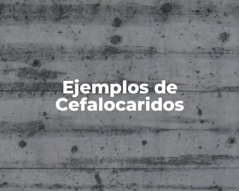 Ejemplos de Cefalocaridos