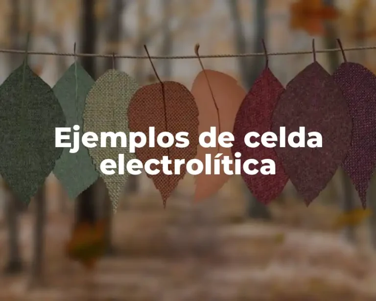 Ejemplos de celda electrolítica
