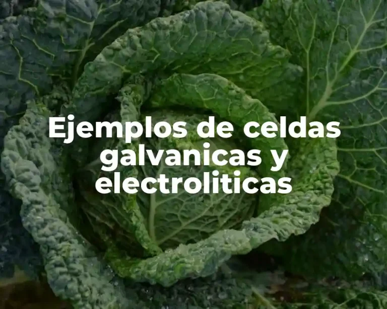 Ejemplos de celdas galvanicas y electroliticas