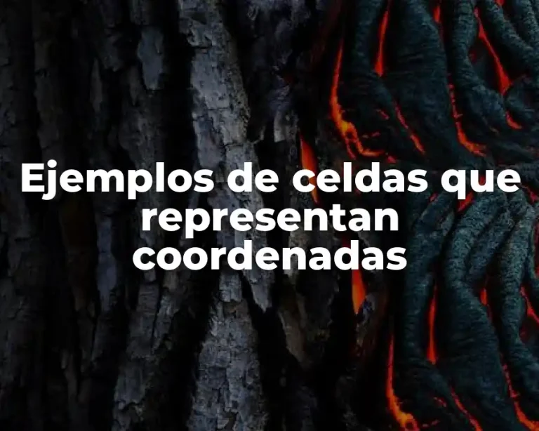Ejemplos de celdas que representan coordenadas