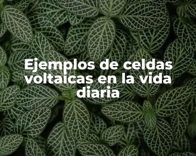 Ejemplos de celdas voltaicas en la vida diaria