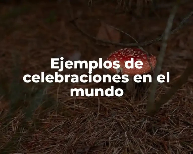 Ejemplos de celebraciones en el mundo