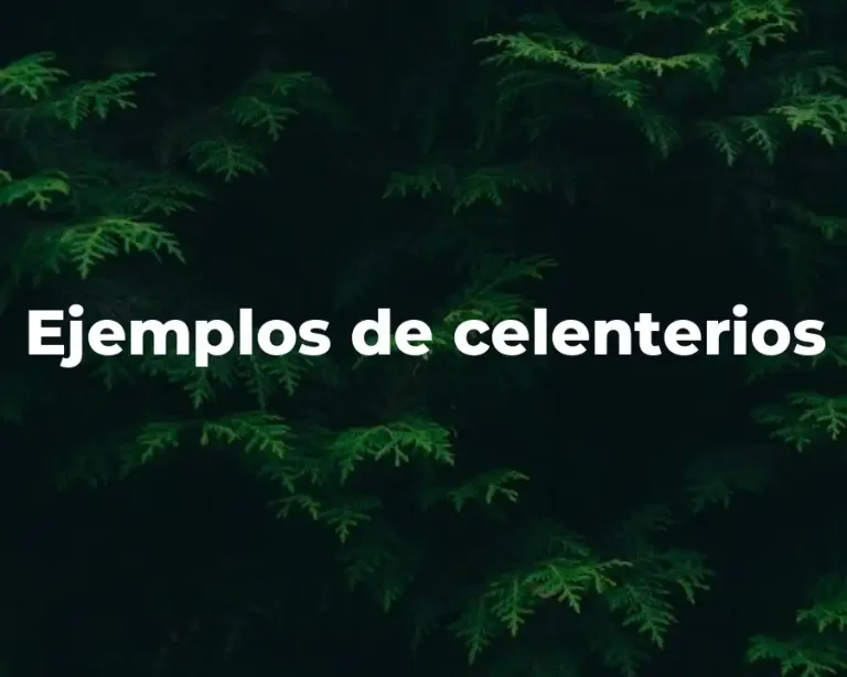 Ejemplos de celenterios