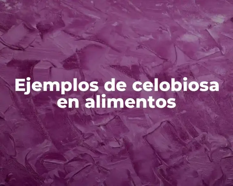 Ejemplos de celobiosa en alimentos
