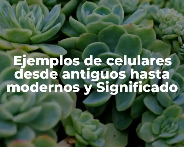 Ejemplos de celulares desde antiguos hasta modernos y Significado