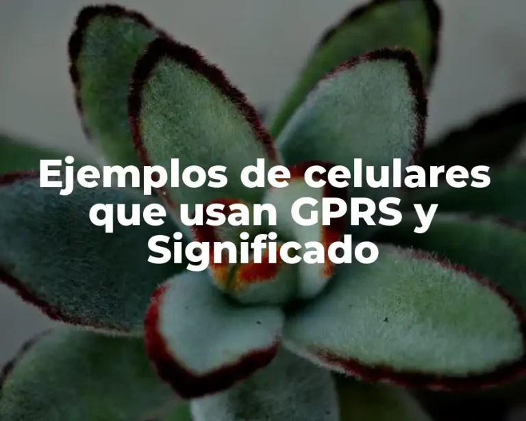 Ejemplos de celulares que usan GPRS y Significado
