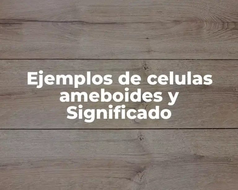 Ejemplos de celulas ameboides y Significado