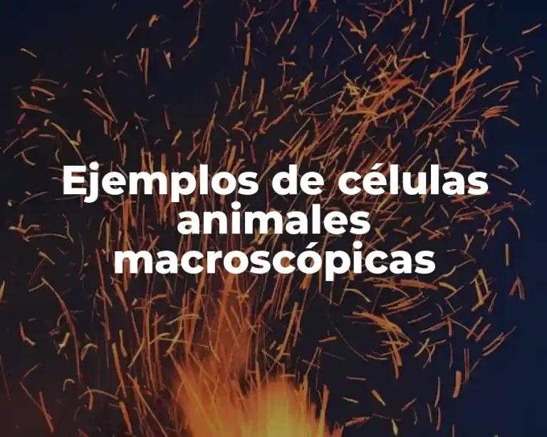 Ejemplos de células animales macroscópicas