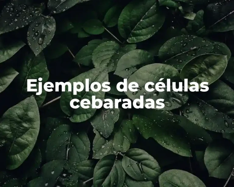 Ejemplos de células cebaradas
