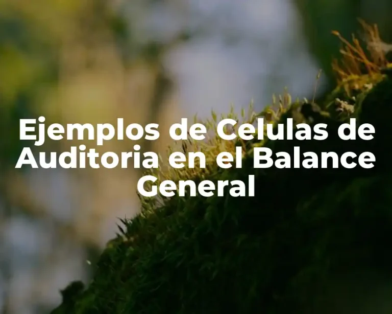 Ejemplos de Celulas de Auditoria en el Balance General