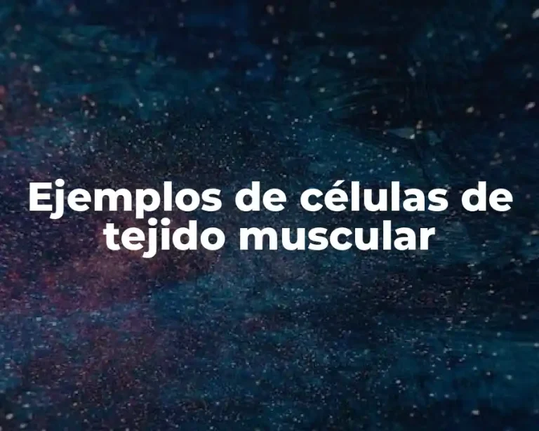 Ejemplos de células de tejido muscular