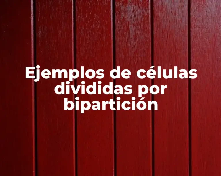 Ejemplos de células divididas por bipartición