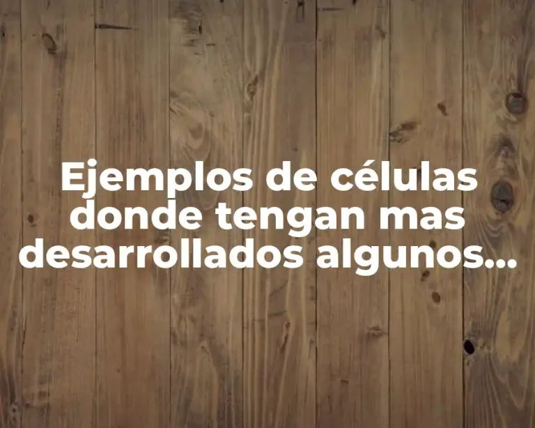 Ejemplos de células donde tengan mas desarrollados algunos orgánulos y Significado