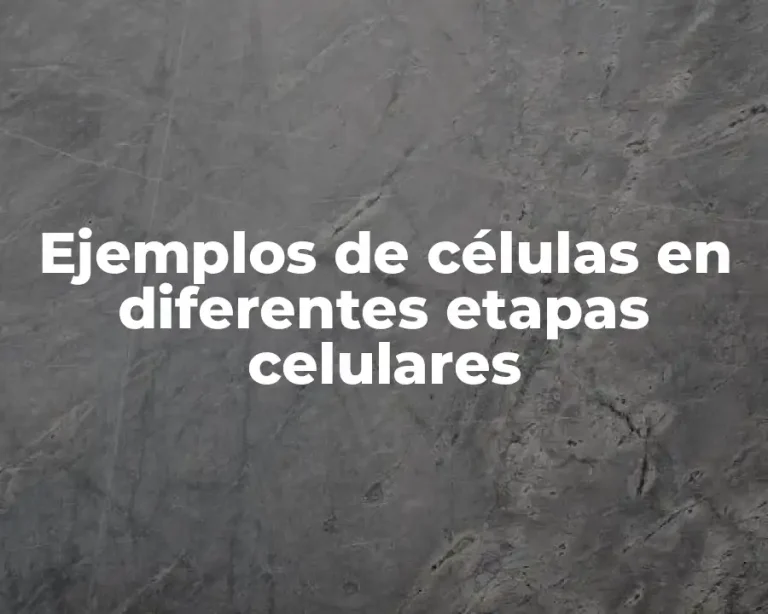 Ejemplos de células en diferentes etapas celulares