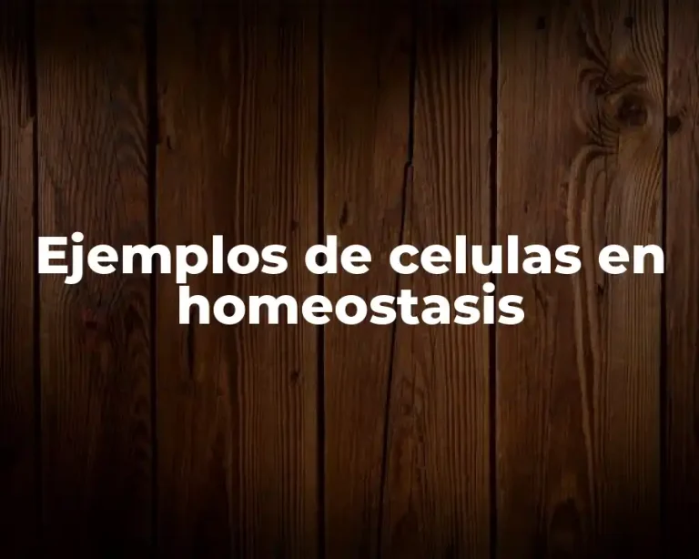 Ejemplos de celulas en homeostasis