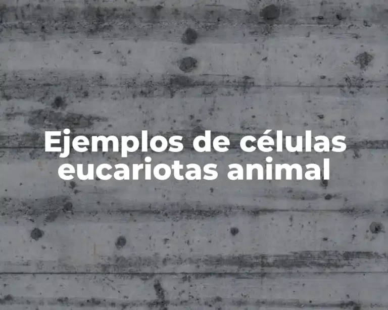 Ejemplos de células eucariotas animal