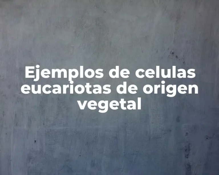 Ejemplos de celulas eucariotas de origen vegetal