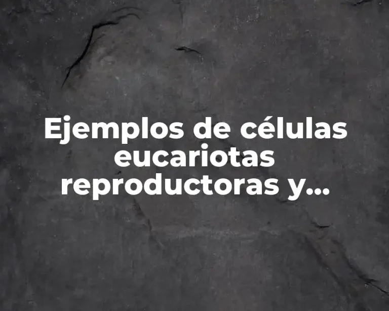 Ejemplos de células eucariotas reproductoras y Significado