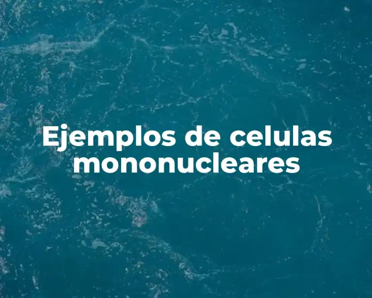Ejemplos de celulas mononucleares