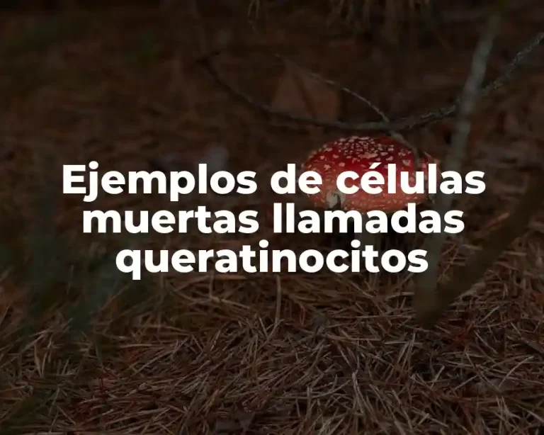 Ejemplos de células muertas llamadas queratinocitos