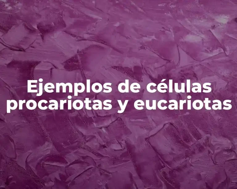 Ejemplos de células procariotas y eucariotas