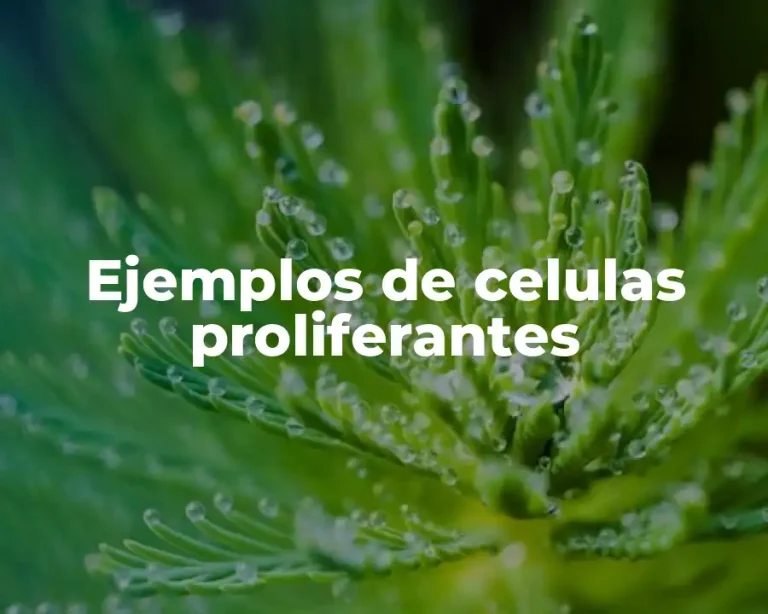 Ejemplos de celulas proliferantes