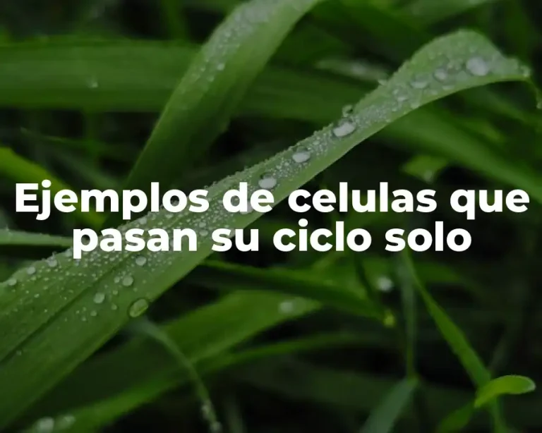 Ejemplos de celulas que pasan su ciclo solo