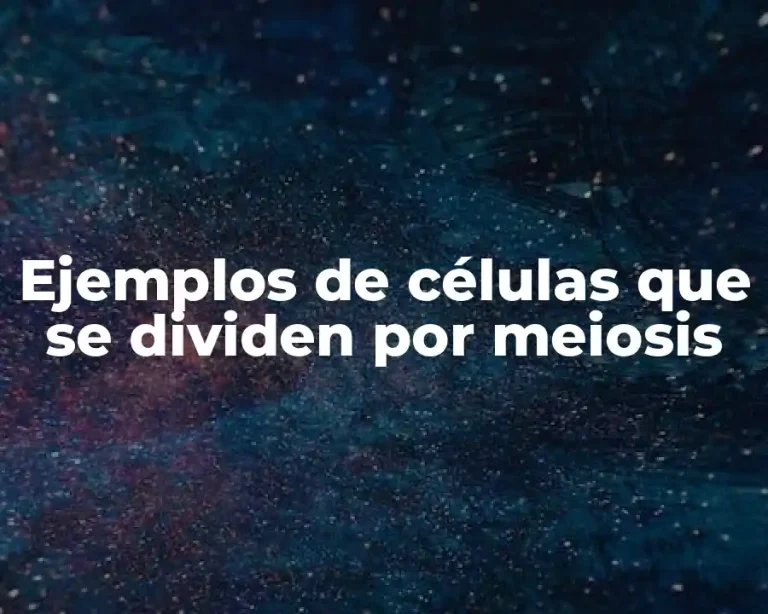 Ejemplos de células que se dividen por meiosis