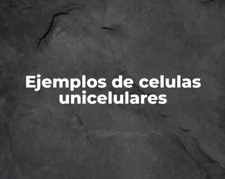Ejemplos de celulas unicelulares