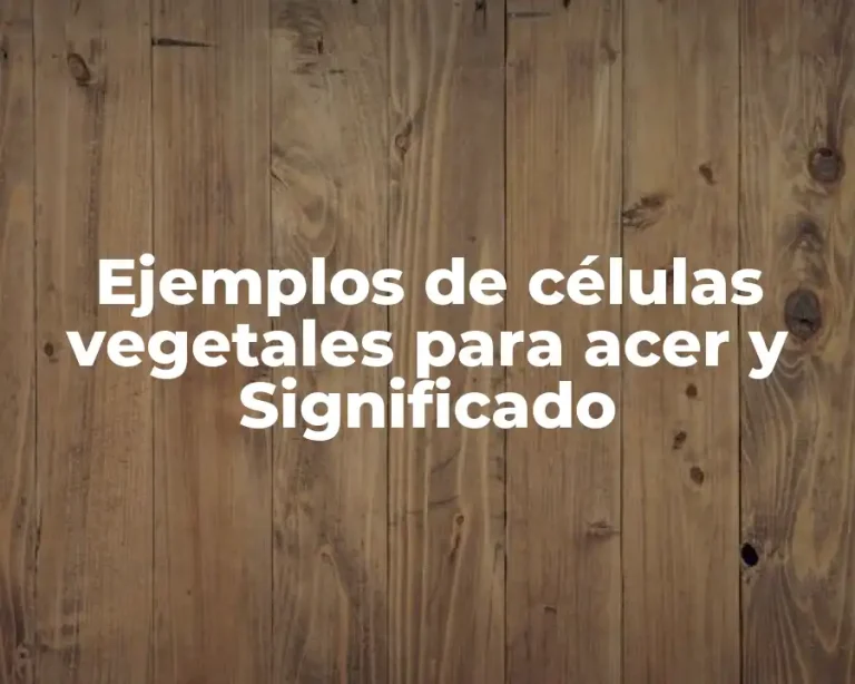 Ejemplos de células vegetales para acer y Significado