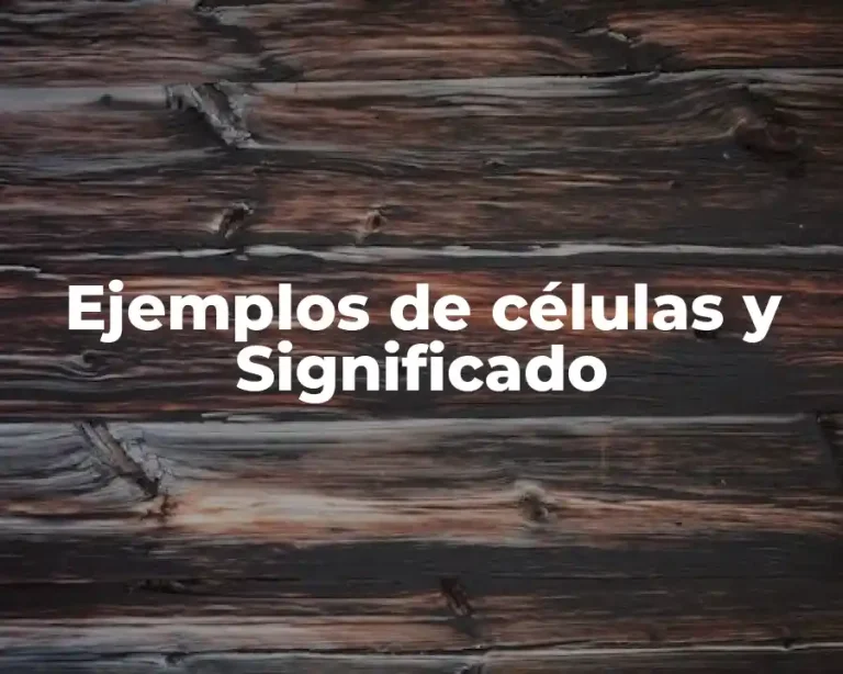 Ejemplos de células y Significado
