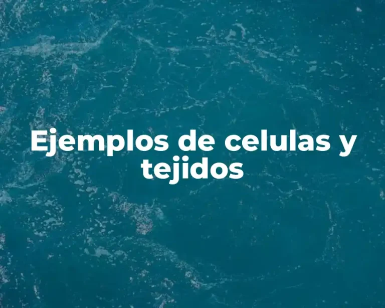 Ejemplos de celulas y tejidos