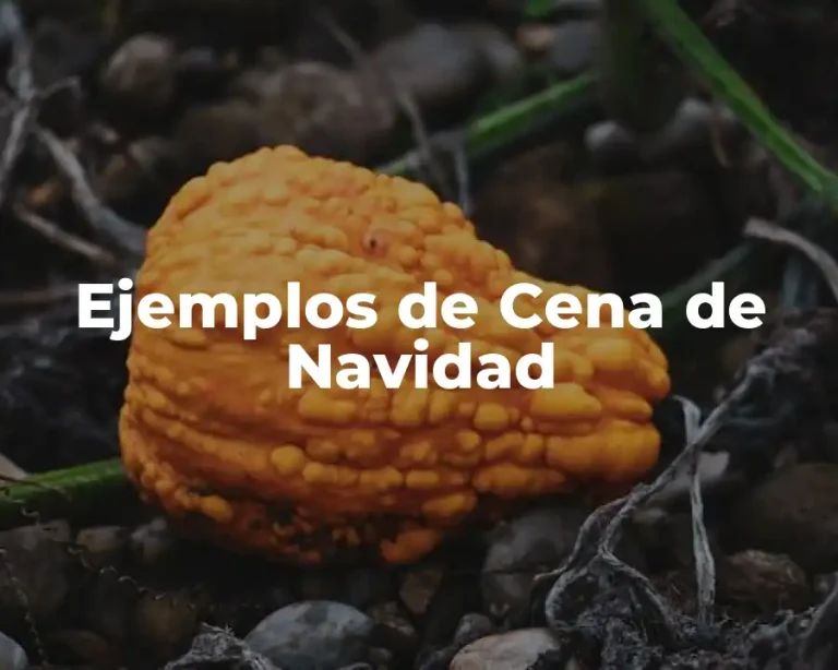 Ejemplos de Cena de Navidad