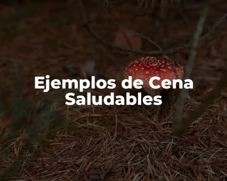 Ejemplos de Cena Saludables