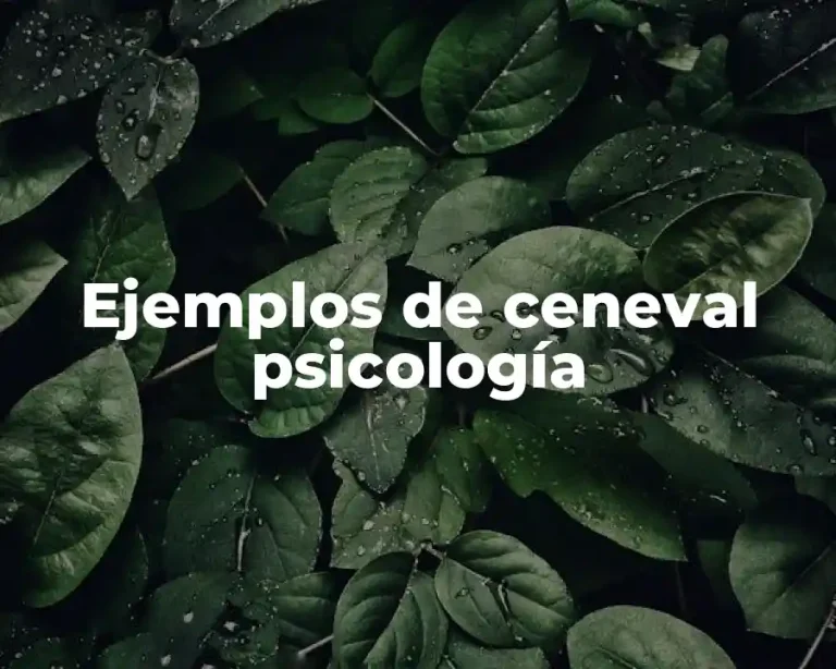 Ejemplos de ceneval psicología