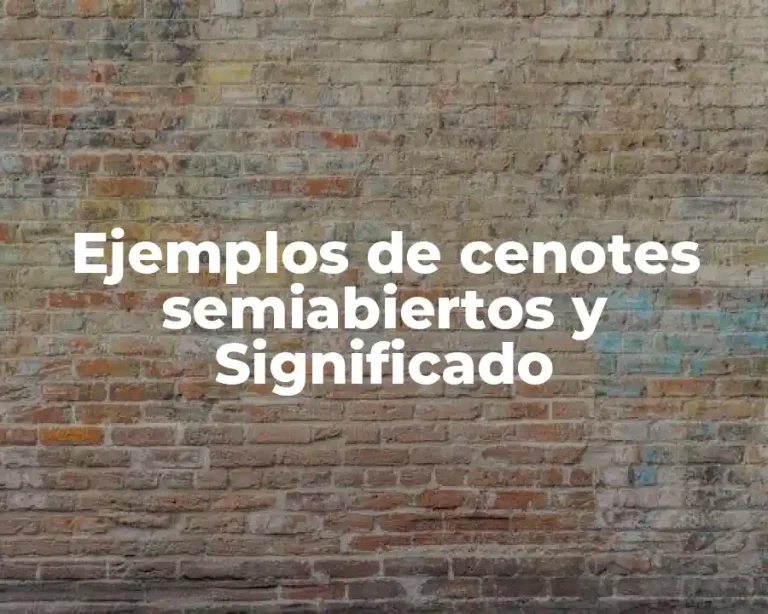 Ejemplos de cenotes semiabiertos y Significado