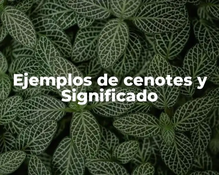 Ejemplos de cenotes y Significado