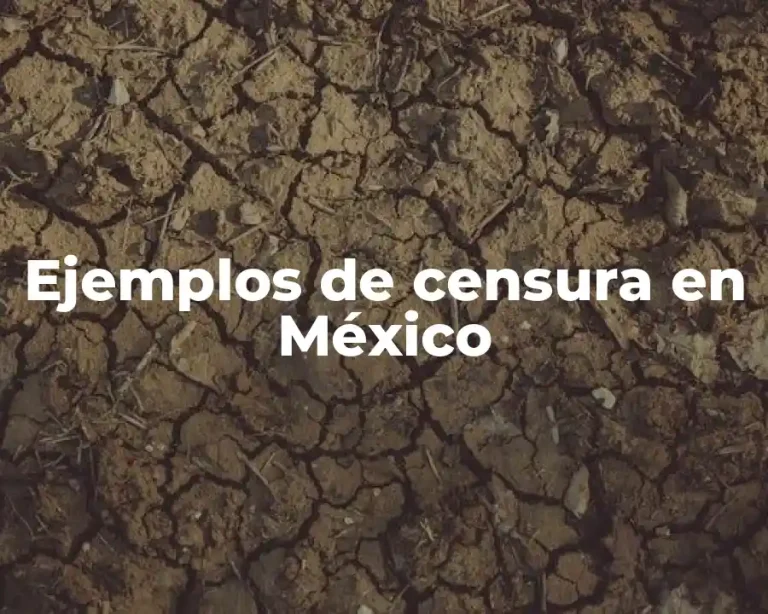 Ejemplos de censura en México