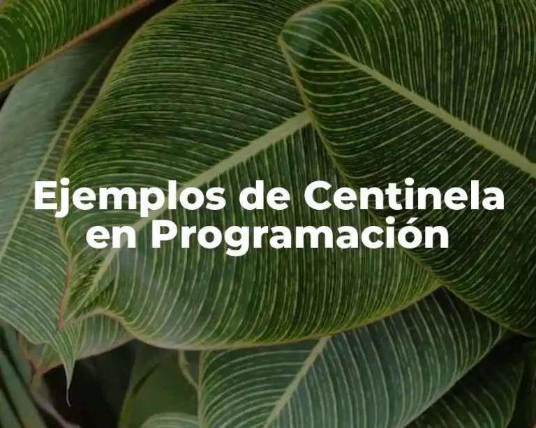 Ejemplos de Centinela en Programación