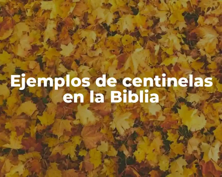 Ejemplos de centinelas en la Biblia