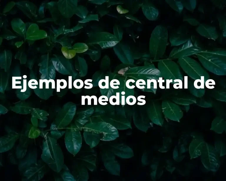 Ejemplos de central de medios