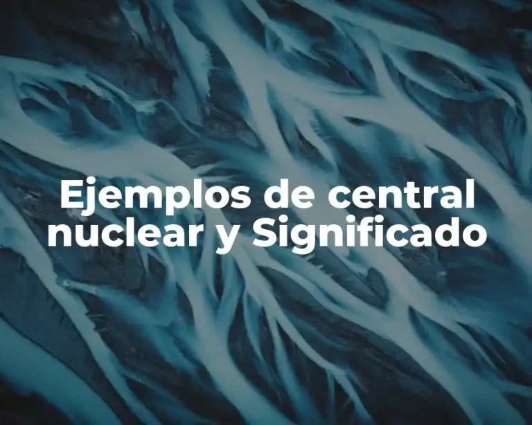 Ejemplos de central nuclear y Significado