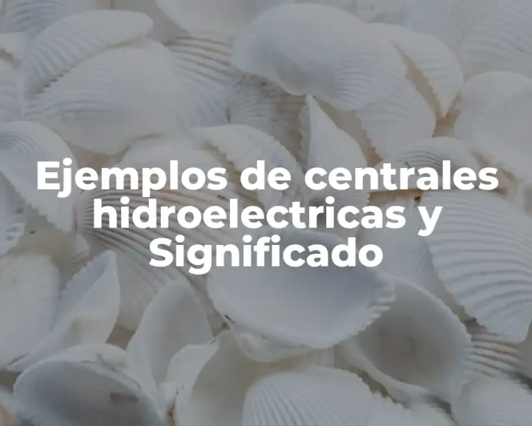 Ejemplos de centrales hidroelectricas y Significado