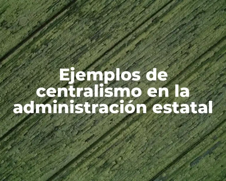 Ejemplos de centralismo en la administración estatal