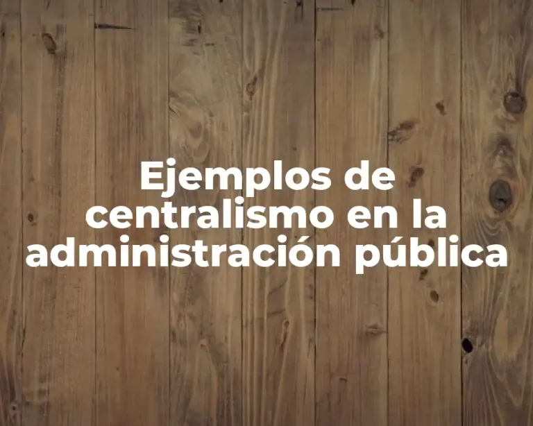 Ejemplos de centralismo en la administración pública